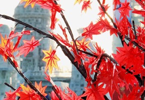 Top 10 Reasons to Visit the Harbin Ice Festival