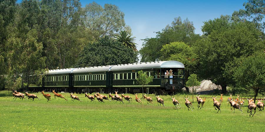 Pride of Africa, Rovos Rail