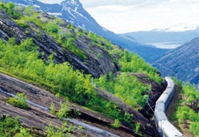 The Northern Lights & Lapland